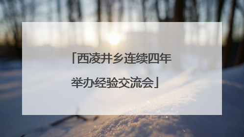 西凌井乡连续四年举办经验交流会