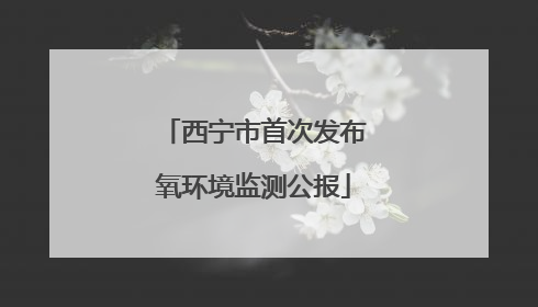 西宁市首次发布氧环境监测公报