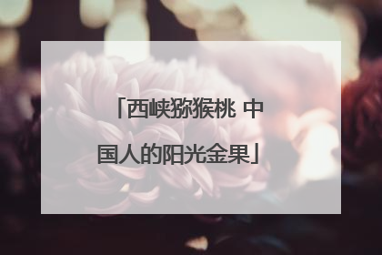 西峡猕猴桃 中国人的阳光金果