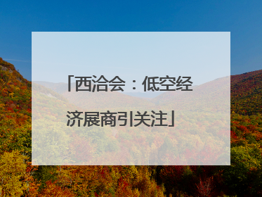 西洽会：低空经济展商引关注