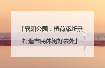 襄阳公园：植荷添新景 打造市民休闲好去处