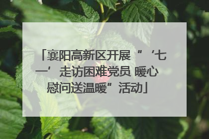 襄阳高新区开展“‘七一’走访困难党员 暖心慰问送温暖”活动