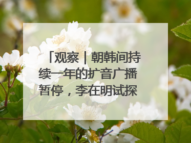 观察｜朝韩间持续一年的扩音广播暂停，李在明试探性将球踢向朝鲜