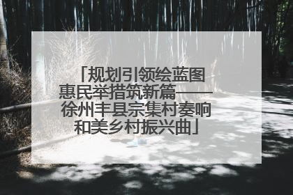 规划引领绘蓝图 惠民举措筑新篇——徐州丰县宗集村奏响和美乡村振兴曲