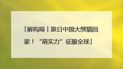 解构局丨旅日中国大熊猫回家！“萌实力”征服全球