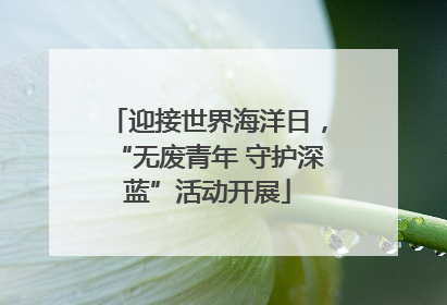 迎接世界海洋日，“无废青年 守护深蓝”活动开展
