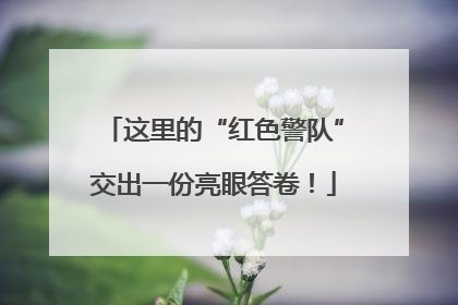 这里的“红色警队”交出一份亮眼答卷！