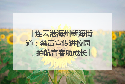 连云港海州新海街道：禁毒宣传进校园，护航青春助成长