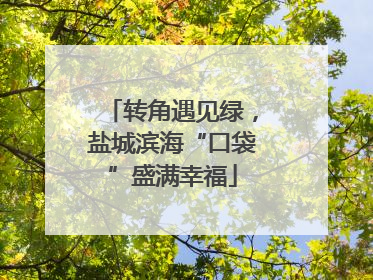 转角遇见绿，盐城滨海“口袋”盛满幸福