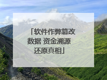 软件作弊篡改数据 资金溯源还原真相