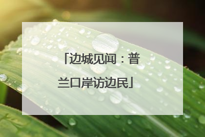 边城见闻：普兰口岸访边民
