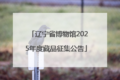 辽宁省博物馆2025年度藏品征集公告