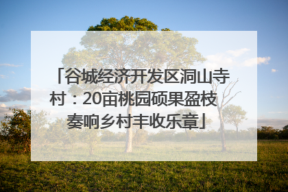谷城经济开发区洞山寺村：20亩桃园硕果盈枝 奏响乡村丰收乐章