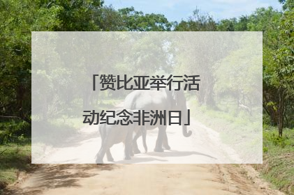 赞比亚举行活动纪念非洲日