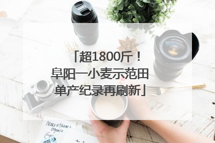 超1800斤！阜阳一小麦示范田单产纪录再刷新