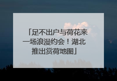足不出户与荷花来一场浪漫约会！湖北推出赏荷地图