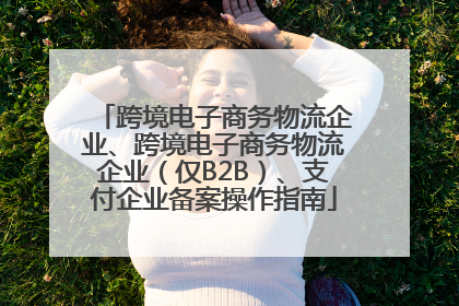 跨境电子商务物流企业、跨境电子商务物流企业（仅B2B）、支付企业备案操作指南