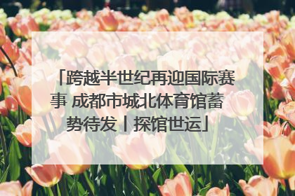 跨越半世纪再迎国际赛事 成都市城北体育馆蓄势待发丨探馆世运