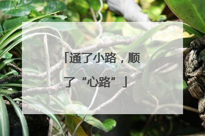 通了小路，顺了“心路”