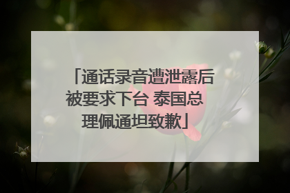 通话录音遭泄露后被要求下台 泰国总理佩通坦致歉