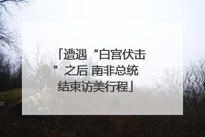 遭遇“白宫伏击”之后 南非总统结束访美行程