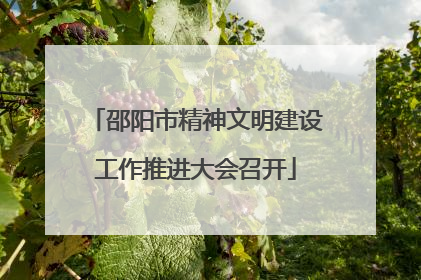 邵阳市精神文明建设工作推进大会召开