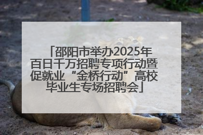 邵阳市举办2025年百日千万招聘专项行动暨促就业“金桥行动”高校毕业生专场招聘会