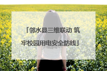 邻水县三维联动 筑牢校园用电安全防线