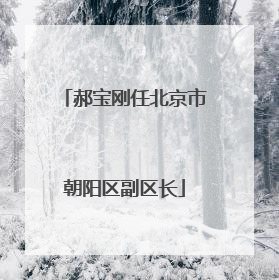 郝宝刚任北京市朝阳区副区长