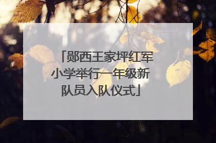 郧西王家坪红军小学举行一年级新队员入队仪式