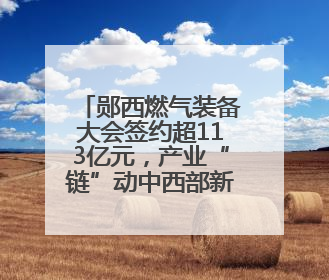 郧西燃气装备大会签约超113亿元，产业“链”动中西部新未来
