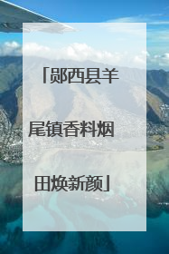郧西县羊尾镇香料烟田焕新颜