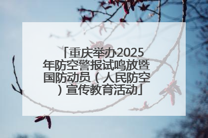 重庆举办2025年防空警报试鸣放暨国防动员（人民防空）宣传教育活动