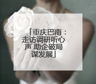 重庆巴南：走访调研听心声 助企破局谋发展