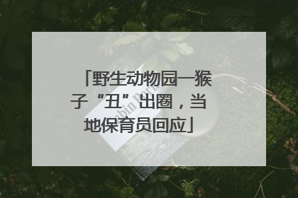 野生动物园一猴子“丑”出圈，当地保育员回应