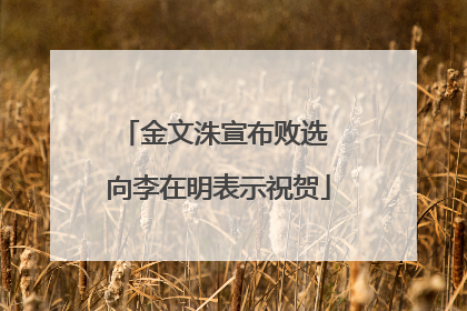 金文洙宣布败选 向李在明表示祝贺