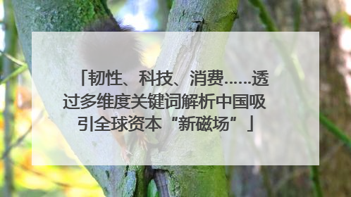 韧性、科技、消费……透过多维度关键词解析中国吸引全球资本“新磁场”