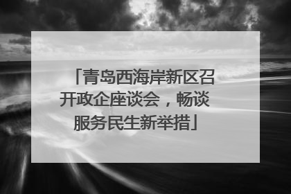青岛西海岸新区召开政企座谈会，畅谈服务民生新举措