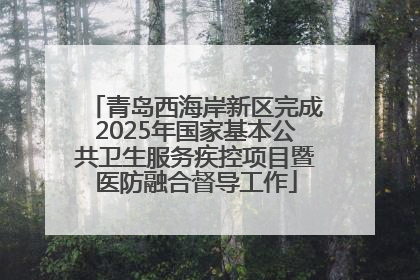 青岛西海岸新区完成2025年国家基本公共卫生服务疾控项目暨医防融合督导工作