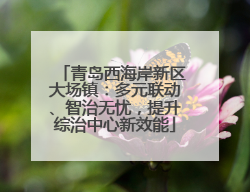青岛西海岸新区大场镇：多元联动、智治无忧，提升综治中心新效能