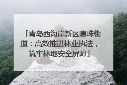 青岛西海岸新区隐珠街道：高效推进林业执法，筑牢林地安全屏障