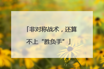 非对称战术，还算不上“胜负手”