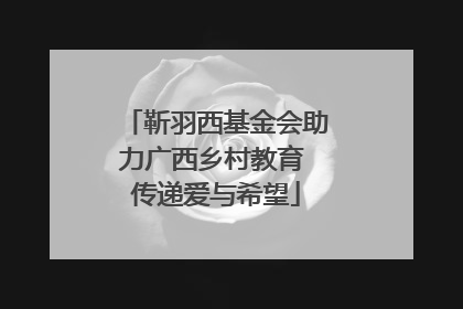 靳羽西基金会助力广西乡村教育 传递爱与希望