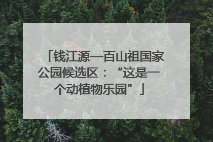 钱江源—百山祖国家公园候选区：“这是一个动植物乐园”
