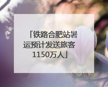 铁路合肥站暑运预计发送旅客1150万人