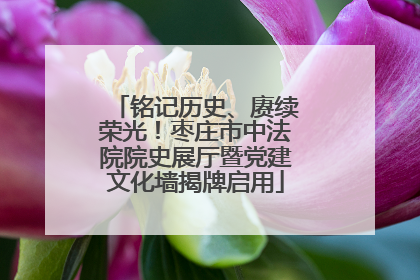铭记历史、赓续荣光！枣庄市中法院院史展厅暨党建文化墙揭牌启用