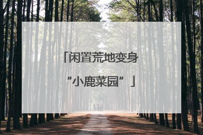 闲置荒地变身“小鹿菜园”