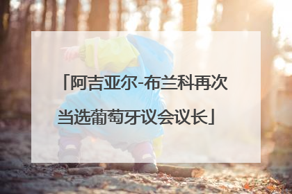 阿吉亚尔-布兰科再次当选葡萄牙议会议长