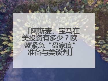 阿斯麦、宝马在美投资有多少？欧盟紧急“盘家底”准备与美谈判