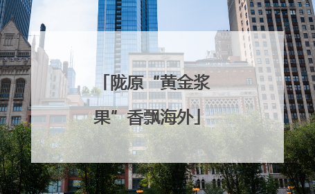 陇原“黄金浆果”香飘海外